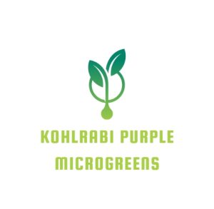 Kohlrabi Purple Microgreens